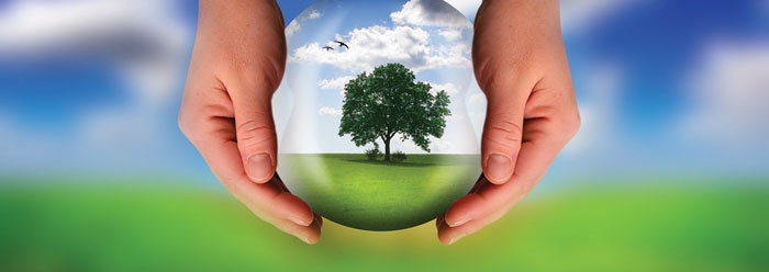 using_nature_wide.jpg (700×248)