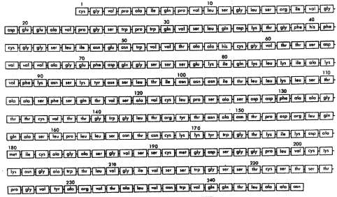 The amino acid sequence of the