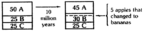 imp-113e