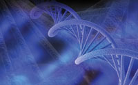 science long life More Mysteries for the Science of Long Life
