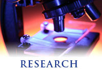 Reseach at ICR Research at ICR